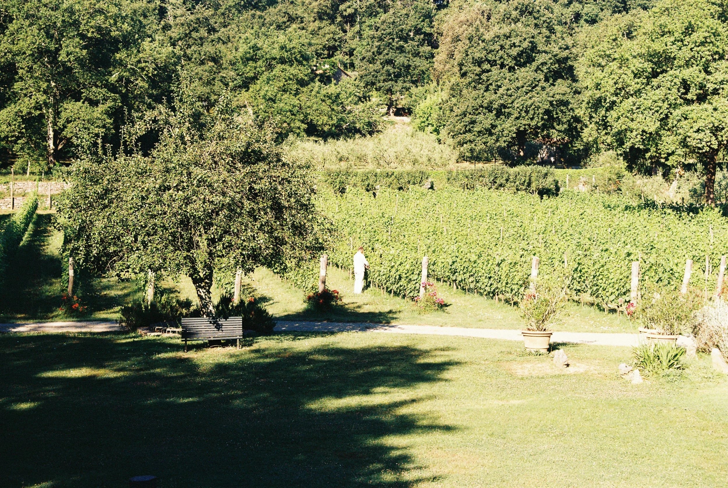 Azienda Agricola Pian della Chiesa — foto 2