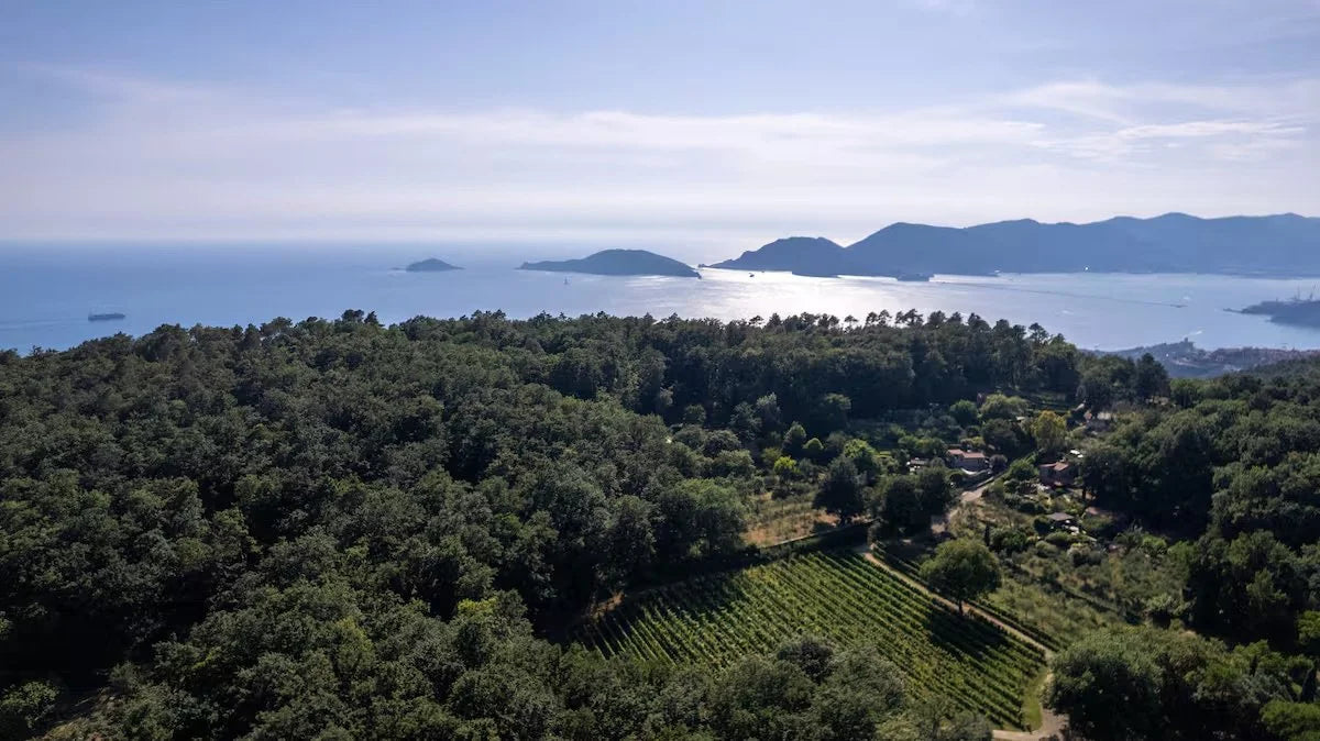 Landscape & Surroundings